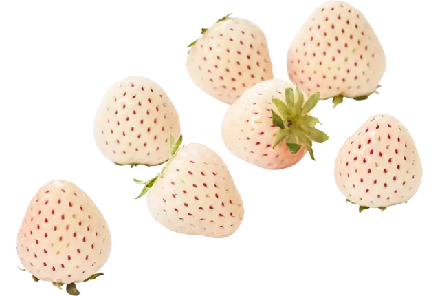 Whiteberry aardbeien 100gr. stuk